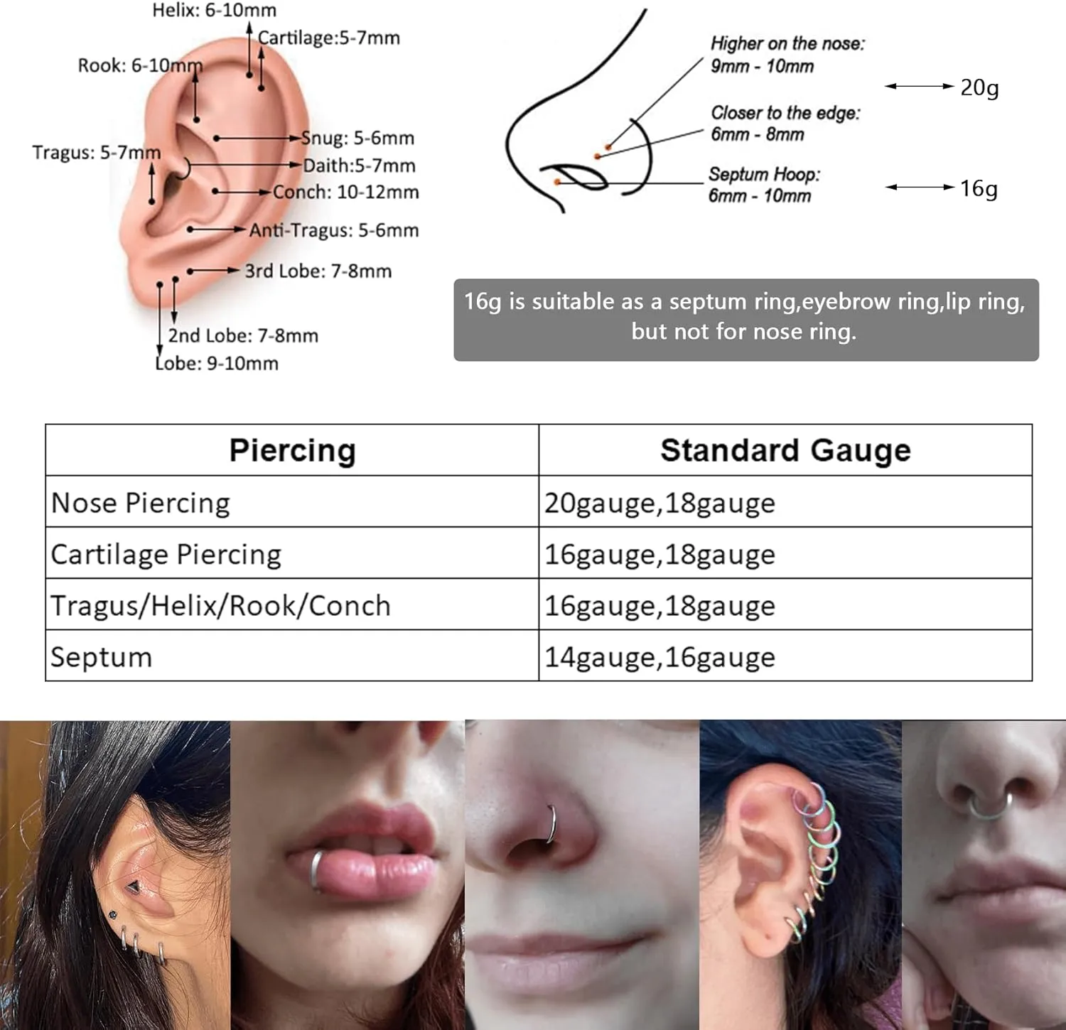 Lantine 5Pcs Grade 23 Titanium 16g 18g 20g Nose Ring Hoop Set Hinge Clicker Septum Rings Tragus Piercing Cartilage Hoop Earrings for Women Men 6-12mm