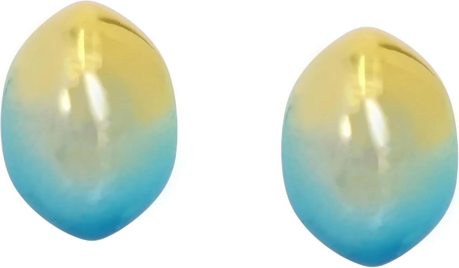 Steve Madden Womens Gradient Chubby Hoop Earrings