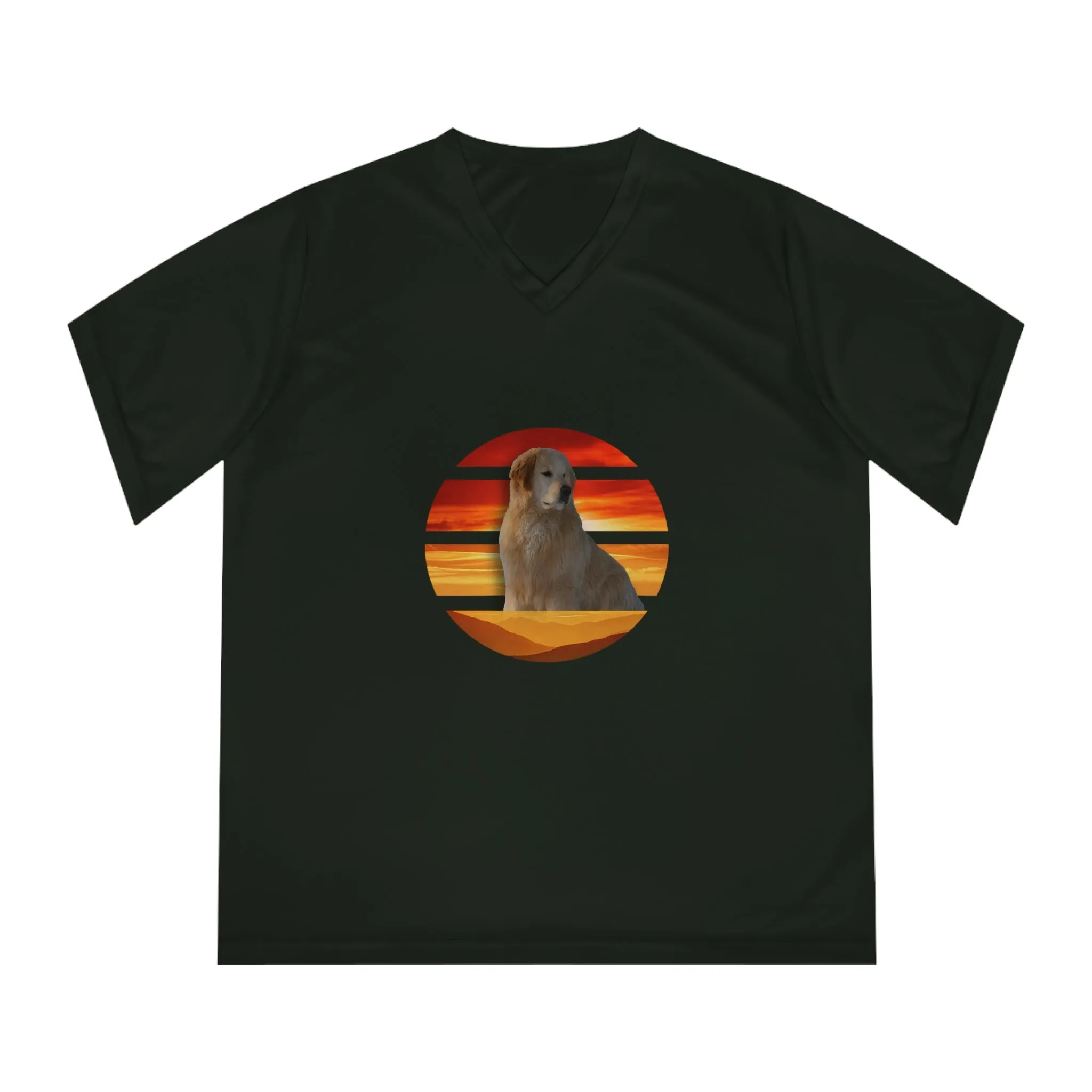 Women's Performance V-Neck T-Shirt