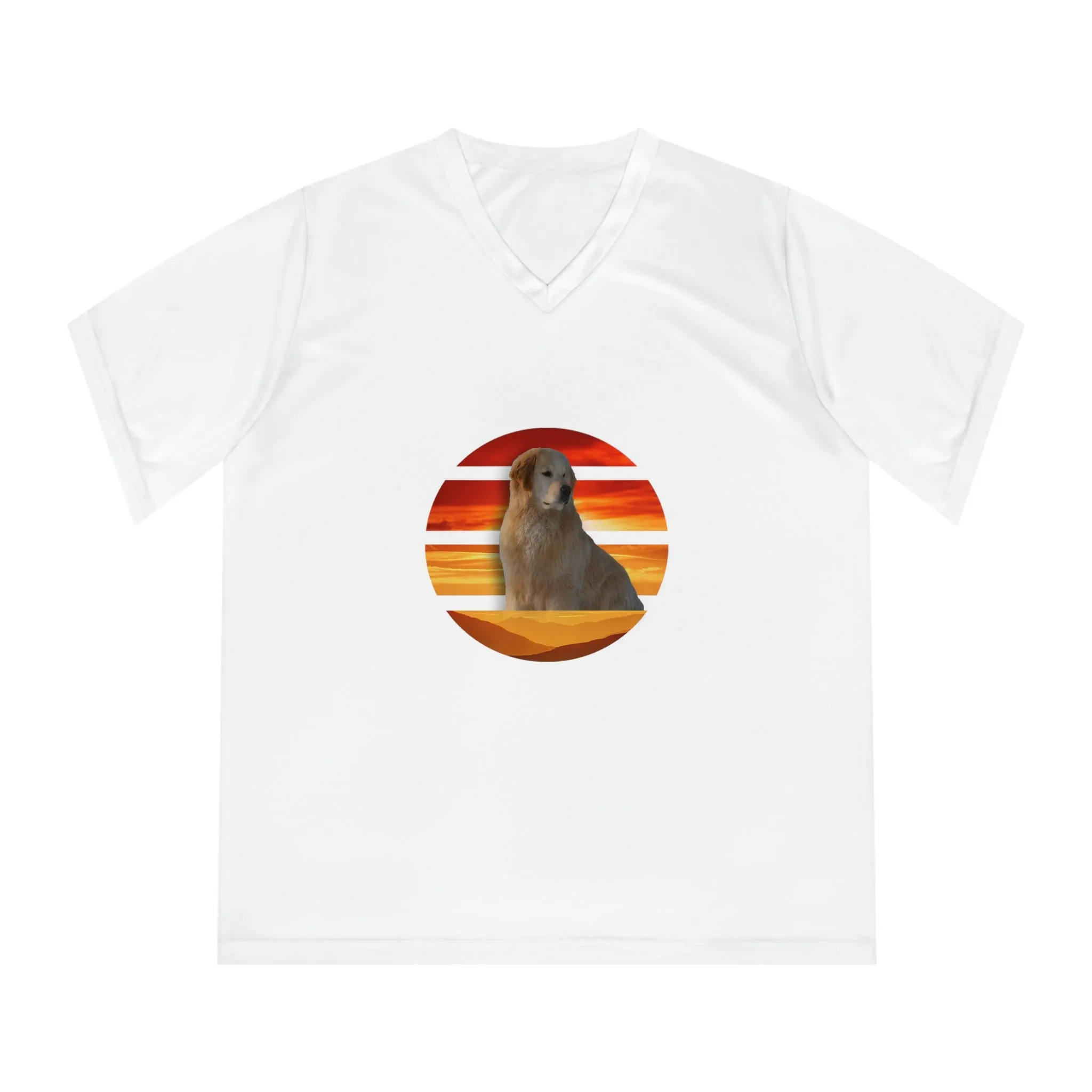 Women's Performance V-Neck T-Shirt